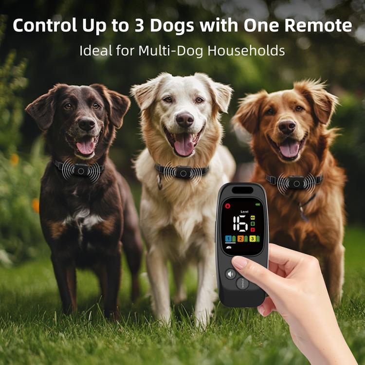 Collare addestratore per cani 3 in 1 T800S con comunicazione bidirezionale, visualizzazione dello stato e monitoraggio dell'attività del cane., T800S