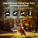 Collare addestratore per cani 3 in 1 T800S con comunicazione bidirezionale, visualizzazione dello stato e monitoraggio dell'attività del cane., T800S