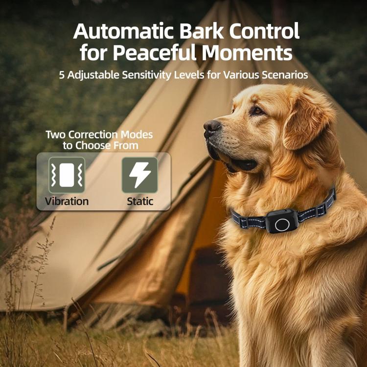 Collare addestratore per cani 3 in 1 T800S con comunicazione bidirezionale, visualizzazione dello stato e monitoraggio dell'attività del cane., T800S