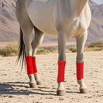 Confezione da 4 fasce adesive in pile spesso per zampe di cavallo