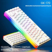 Tastiera meccanica iMICE GK-170 con cavo Type-C da 1,5 m, switch sostituibili a caldo e 68 tasti RGB., GK-170