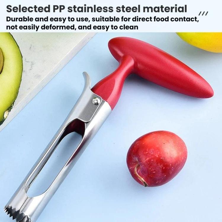 LsCook Snocciolatore per frutta in acciaio inossidabile con manico in plastica