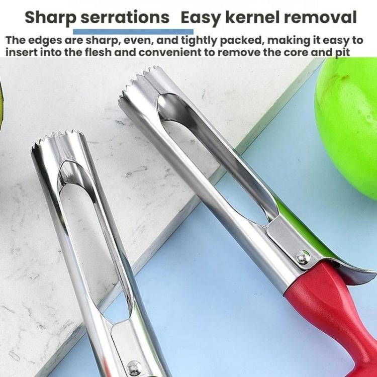 LsCook Snocciolatore per frutta in acciaio inossidabile con manico in plastica