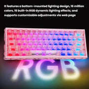Tastiera da gioco wireless Bluetooth H60 Pro a tripla modalità con tasti ritagliati e asse magnetico.