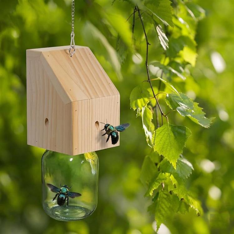 Trappola per api carpentiere, trappola per vespe in legno sostenibile per uso esterno, efficace per catturare calabroni e vespe gialle, trappola per insetti da appendere, A Type, B Type, C Type, D Type