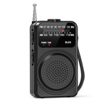 Radio portatile FM/AM con torcia LED e jack cuffie