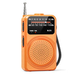 Radio portatile FM/AM con torcia LED e jack cuffie