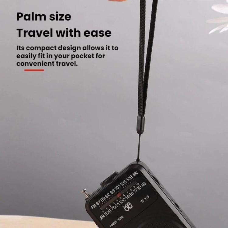 Radio portatile FM/AM con torcia LED e jack cuffie