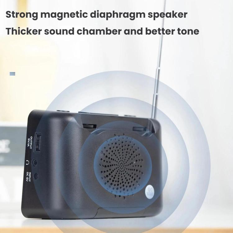 WDK Single-Band FM Digital Extra-Large Screen Display Alarm Clock Radio, For EU, For US