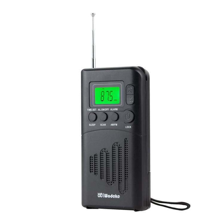 Radio portatile WDK FM/AM con display digitale