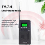 Radio portatile WDK FM/AM con display digitale