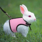 Pettorina e guinzaglio per conigli e furetti, pettorina a gilet per piccoli animali domestici., S, M, L
