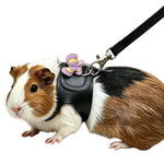 Pettorina per porcellini d'India e cincillà, guinzaglio da passeggio per esterni per piccoli animali domestici, Black S, Black M, Purple S, Purple M, Star S, Star M