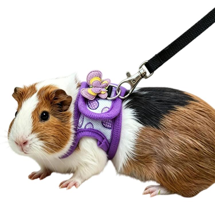Pettorina per porcellini d'India e cincillà, guinzaglio da passeggio per esterni per piccoli animali domestici, Black S, Black M, Purple S, Purple M, Star S, Star M