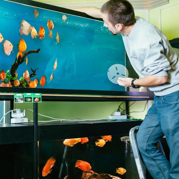 Coperchio anti-salto in acrilico per acquario di rettili con fori