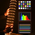 DENGWEI FP150S Luce video a LED arrotolabile da 150 W con griglia, pannello luminoso a LED flessibile bicolore da 2700K a 6500K, EU Plug, US Plug, UK Plug