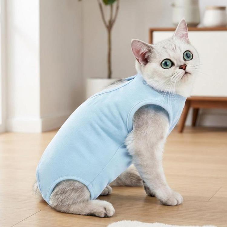 Tuta post-operatoria estiva elasticizzata e traspirante per gatti, a prova di leccamento, fresca e confortevole per il recupero dopo l'intervento., S Blue, M Blue, L Blue, S Pink, M Pink, L Pink, S Purple, M Purple, L Purple