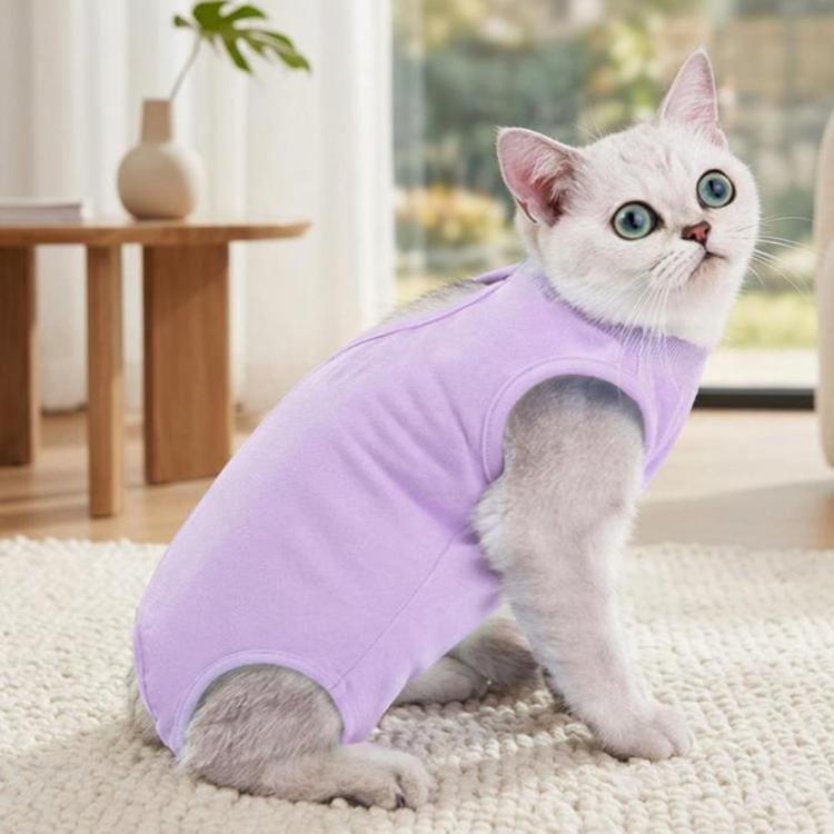 Tuta post-operatoria estiva elasticizzata e traspirante per gatti, a prova di leccamento, fresca e confortevole per il recupero dopo l'intervento., S Blue, M Blue, L Blue, S Pink, M Pink, L Pink, S Purple, M Purple, L Purple