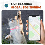 Collare di localizzazione intelligente per gatti con localizzatore GPS, doppio sistema per iOS e Android, dispositivo di localizzazione per animali domestici con campanellino.