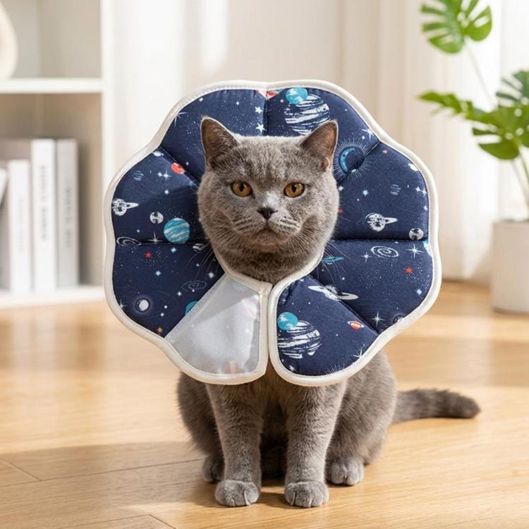 Collare post-operatorio Elizabeth per animali domestici, anello anti-leccamento, cono morbido regolabile per la convalescenza dei gatti., XS Planet, S Planet, M Planet, L Planet, XS Rocket, S Rocket, M Rocket, L Rocket