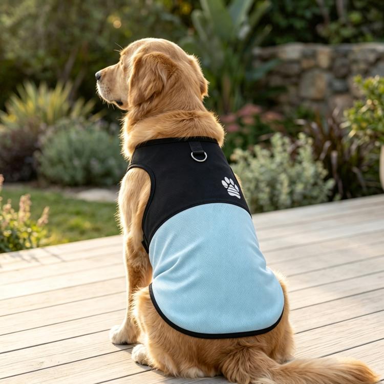 Alt immagine