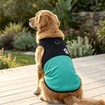 Gilet per cani a blocchi di colore con impronta di zampa, pettorina traspirante in rete per animali domestici con attacco per guinzaglio., XS, S, M, L