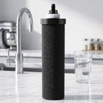 BB9-2 Filtro a carboni attivi per depuratore d'acqua Berkey