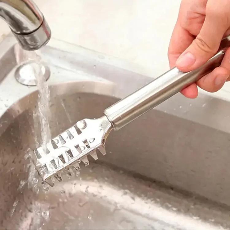 Squamatore per pesce in acciaio inossidabile, LsCook Square