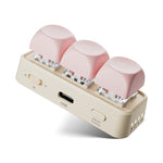 Hanlinyue High Axis E-Book Page Turner Bluetooth Keyboard