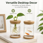 Vaso idroponico in plastica PET trasparente autoirrigante con tappo in silicone morbido e base antiscivolo, vaso da scrivania infrangibile e mini acquario per Pothos, edera ed erbe aromatiche.