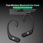 Auricolari wireless Bluetooth 5.3 KZ XZ10 con ganci auricolari, XZ10