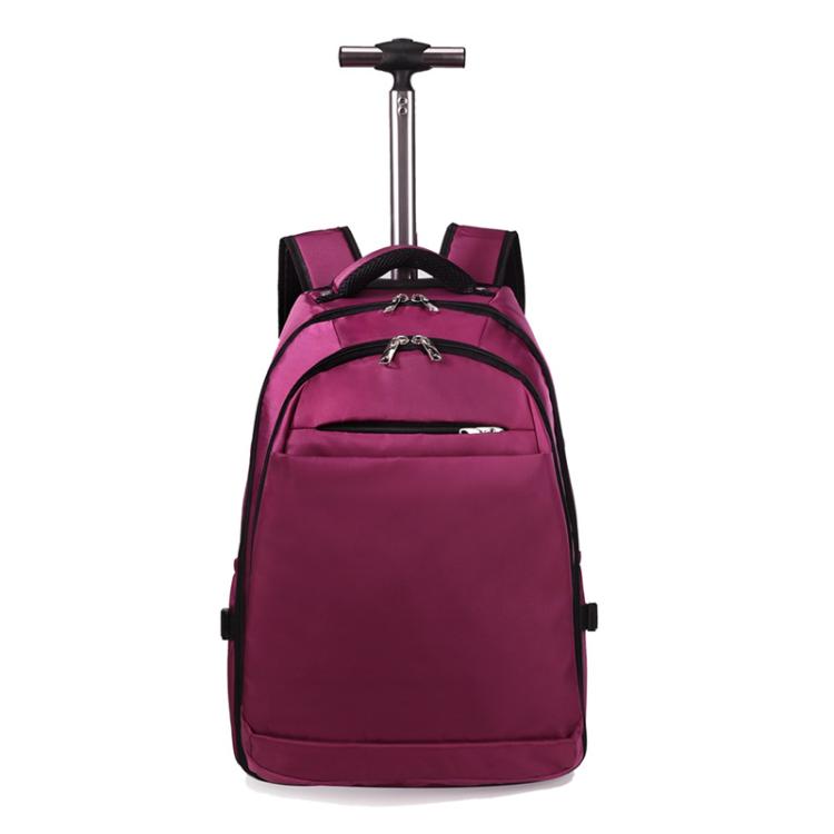 Zaino con ruote da 20 pollici per viaggi, zaino per laptop con ruote e cinghie nascoste, trolley da cabina per lavoro e scuola.