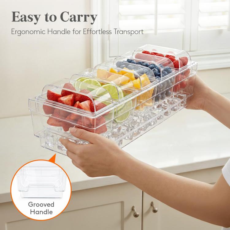 Vassoio per congelatore estivo a 5 scomparti per frutta, verdura e snack, contenitore per cubetti di ghiaccio e alimenti.