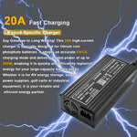 Caricabatterie Liitokala 14,6V 20A per batterie LiFePO4