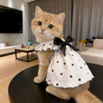 Vestito estivo per gatti, leggero e anti-perdita di pelo, con pettorina indossabile per animali domestici., XS, S, M, L