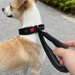 Collare per cani con maniglia di controllo integrata, guinzaglio in nylon resistente con fibbia di sicurezza, per cani di taglia media e grande.