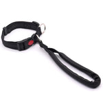 Collare per cani con maniglia di controllo integrata, guinzaglio in nylon resistente con fibbia di sicurezza, per cani di taglia media e grande.