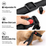 Collare per cani con maniglia di controllo integrata, guinzaglio in nylon resistente con fibbia di sicurezza, per cani di taglia media e grande.