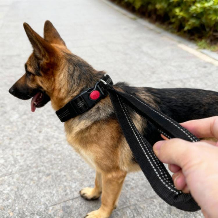 Collare per cani con maniglia di controllo integrata, guinzaglio in nylon resistente con fibbia di sicurezza, per cani di taglia media e grande.