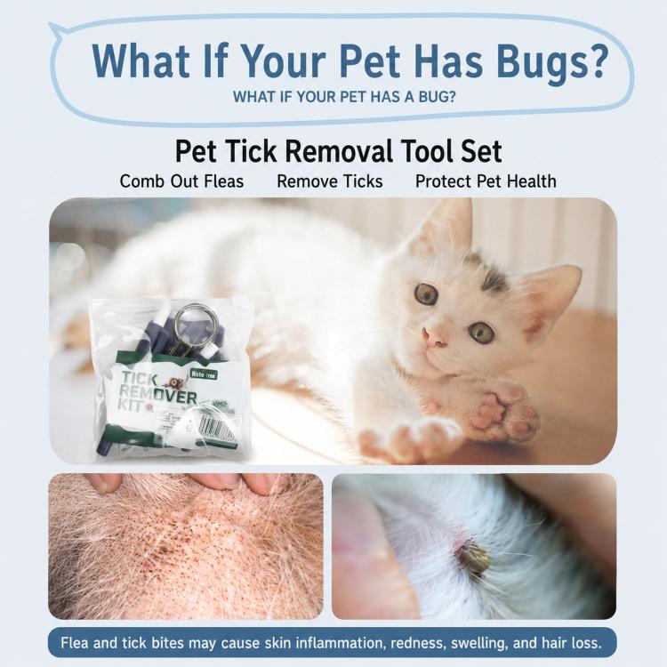 Kit per la rimozione delle zecche dagli animali domestici, composto da 10 pezzi, con lente d'ingrandimento, pinzette, penna a lazo e pettine per pulci., 10-Piece Kit