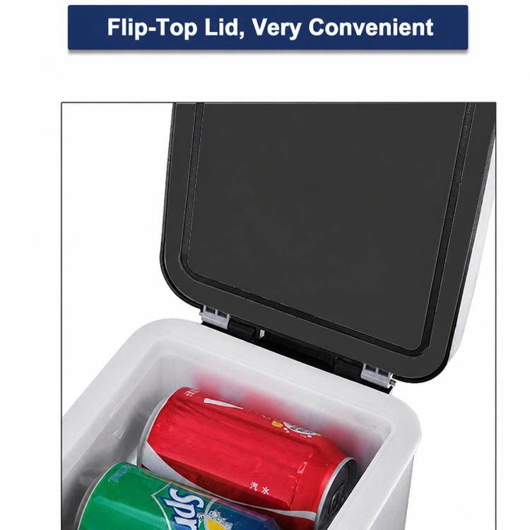 BLD-06A Mini frigorifero portatile per auto, contenitore riscaldante e raffreddante per uso in veicolo, 6L 12V, 6L 12V+24V, 6L 12V Double-Hole