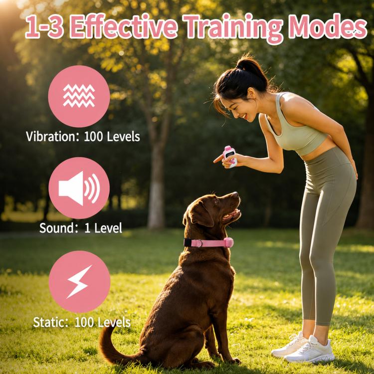 Collare per addestramento cani PaiPaitek con telecomando, portata 1000 m, impermeabile IPX7, collare antiurto., PD 523-1 Pink, PD 523-1 Orange, PD 523-2 Pink, PD 523-3 Pink