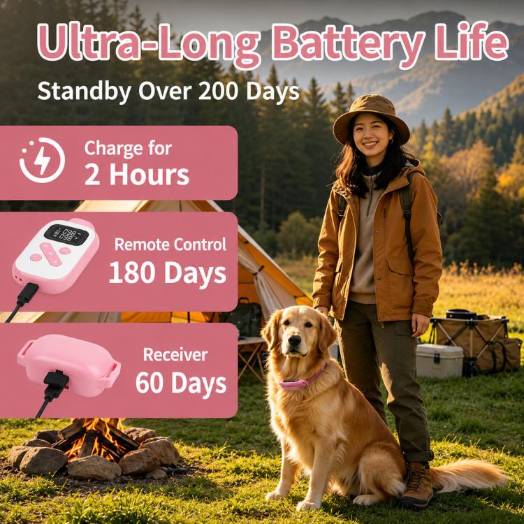 Collare per addestramento cani PaiPaitek con telecomando, portata 1000 m, impermeabile IPX7, collare antiurto., PD 523-1 Pink, PD 523-1 Orange, PD 523-2 Pink, PD 523-3 Pink