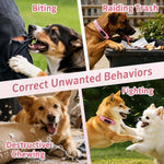 Collare per addestramento cani PaiPaitek con telecomando, portata 1000 m, impermeabile IPX7, collare antiurto., PD 523-1 Pink, PD 523-1 Orange, PD 523-2 Pink, PD 523-3 Pink