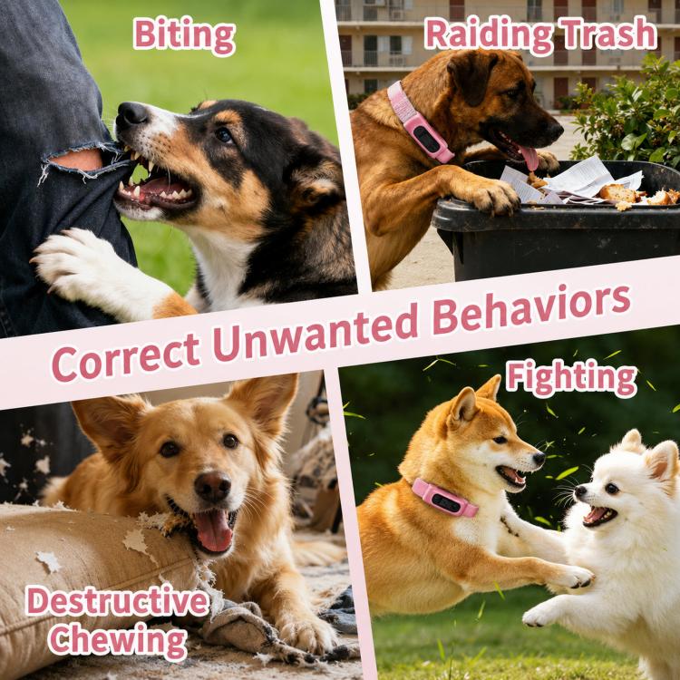 Collare per addestramento cani PaiPaitek con telecomando, portata 1000 m, impermeabile IPX7, collare antiurto., PD 523-1 Pink, PD 523-1 Orange, PD 523-2 Pink, PD 523-3 Pink