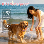 Collare per addestramento cani PaiPaitek con telecomando, portata 1000 m, impermeabile IPX7, collare antiurto., PD 523-1 Pink, PD 523-1 Orange, PD 523-2 Pink, PD 523-3 Pink