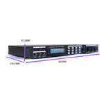 Processore audio digitale professionale AP800, pre-effetto KTV con riverbero DSP anti-ululato per microfono da palco., EU Plug, US Plug, UK Plug