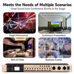 FX9plus Preamplificatore digitale per karaoke con Bluetooth e USB