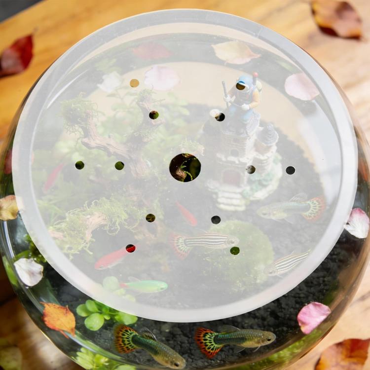 Coperchio rotondo per acquario in acrilico trasparente da 7,47 pollici, con foro centrale per l'alimentazione e pori di ventilazione., YX258