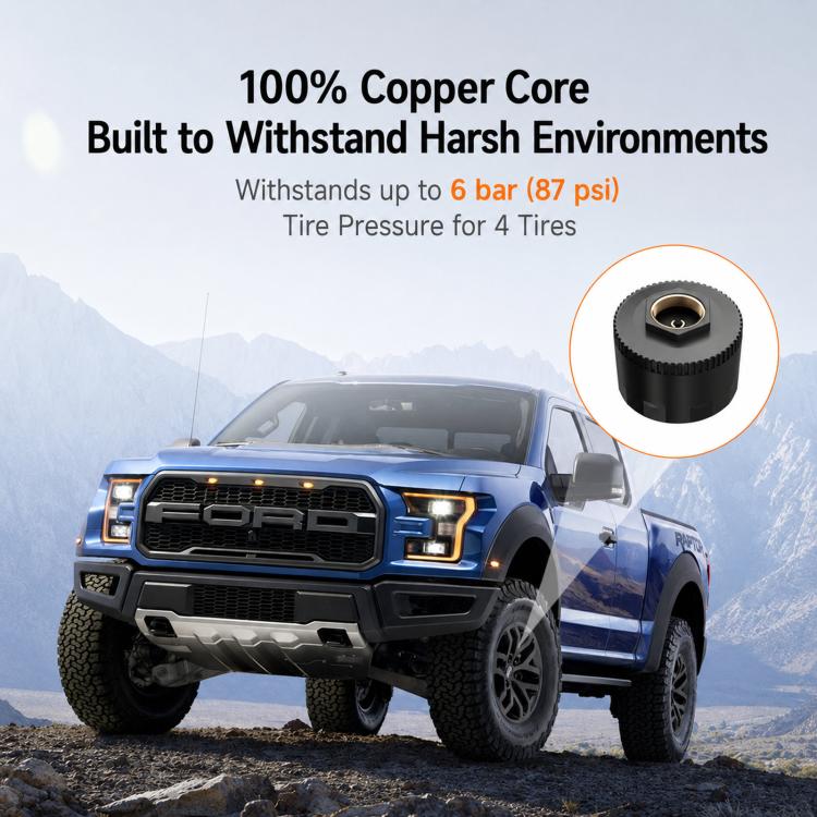 Sistema di monitoraggio della pressione degli pneumatici TPMS a energia solare con luce ambientale a LED, External 4-Wheel, External 6-Wheel, Built-in 4-Wheel, Built-in 6-Wheel